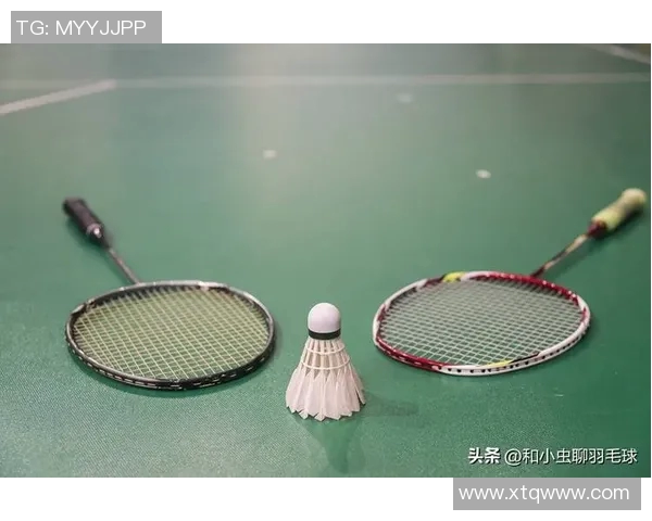 从零基础到高手之路羽毛球速度提升全方位指南 从零基础到高手之路羽毛球速度提升全方位指南