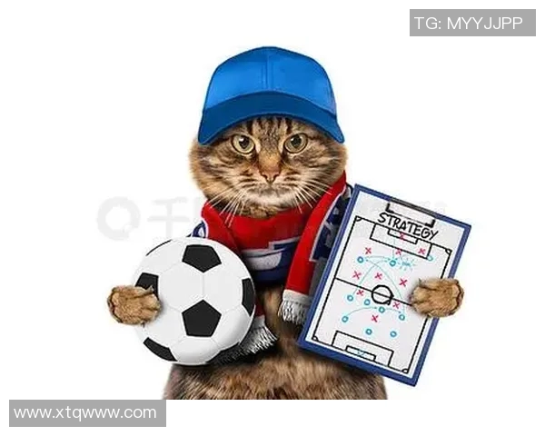 小猫足球明星背后的故事与成长历程揭秘