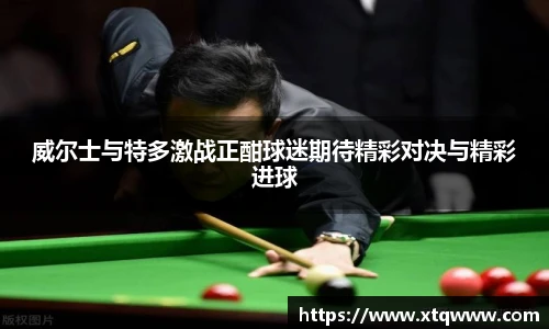 威尔士与特多激战正酣球迷期待精彩对决与精彩进球